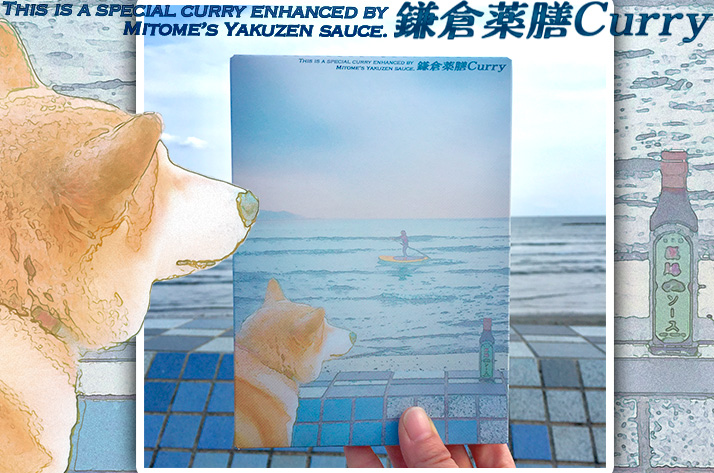 三留商店オリジナル 鎌倉薬膳カレー